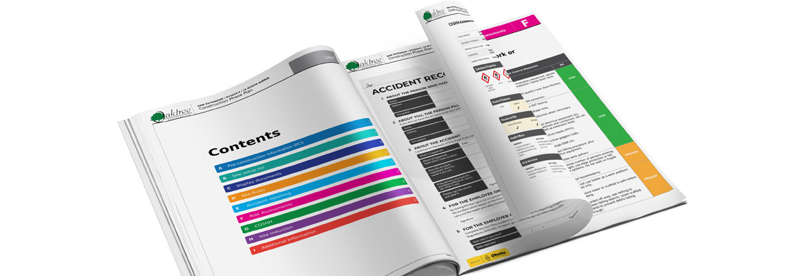 Health and Safety Form Template